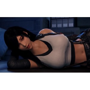 蒂法4K高清同人合集，自行打包，17部视频，总大小3.81G，WALLPAPER截图打包证明