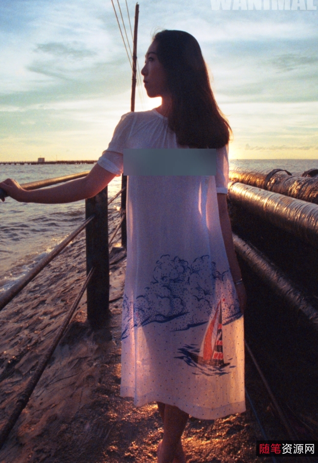 摄影大师+王动WANIMAL+72.5G+补链
