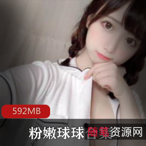粉嫩艺术球球绝版合集10V592M，适合绅士欣赏