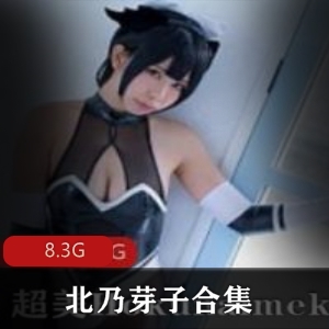 推特Hokunaimeko雅儿贝德精品合集8.3G，神秘惊艳cosplay