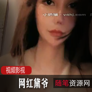 优质网红合集+平台+超A超甜+黛爷四人作品合集+视频数量不详+大小不详+房间内精彩互动