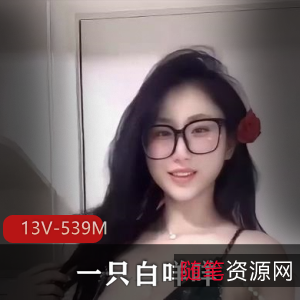 快手一只白咩咩定制舞合集13V539M火辣诱人