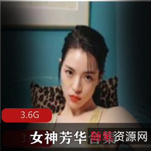 推特芳华美腿剧情合集3.6G实战利器